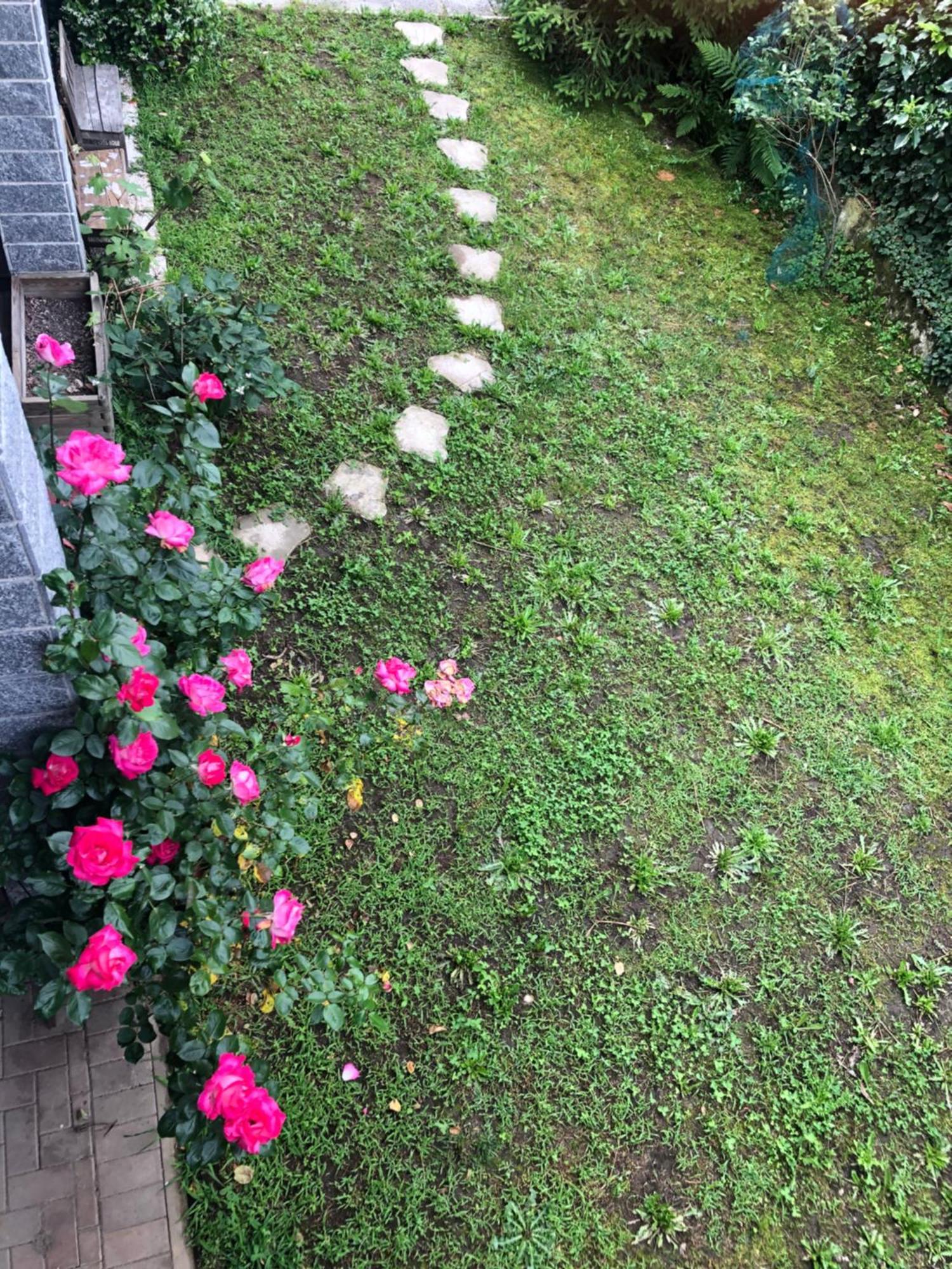 Willa La Vela Orta San Giulio Zewnętrze zdjęcie